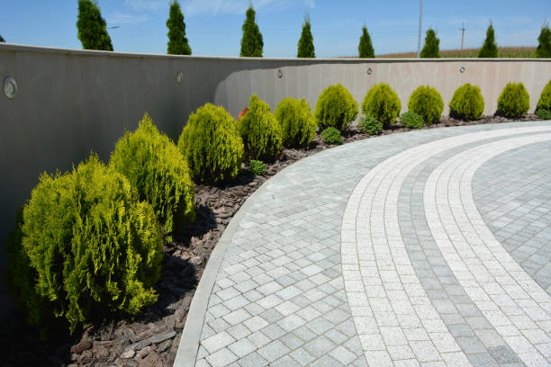 Best Driveway Pavers Near Me  in Riverview, FL