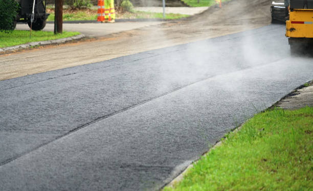 Best Custom Driveway Pavers  in Riverview, FL